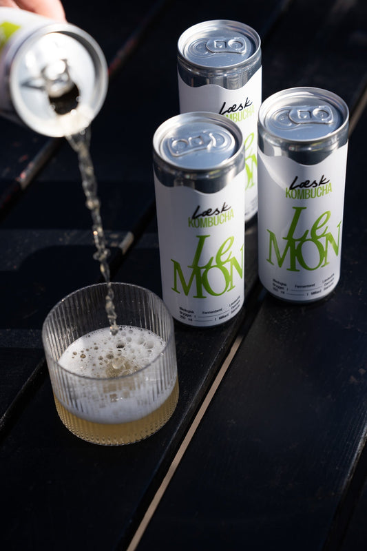 Aktiv bakteriekultur i Læsk Kombucha