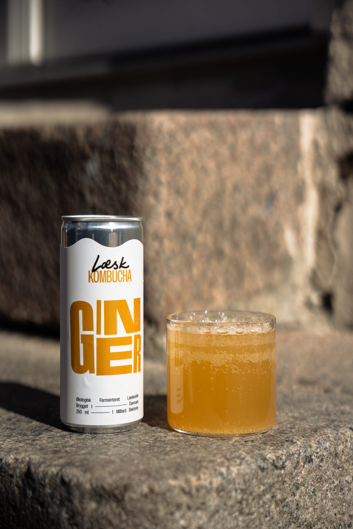 Ginger Kombucha
