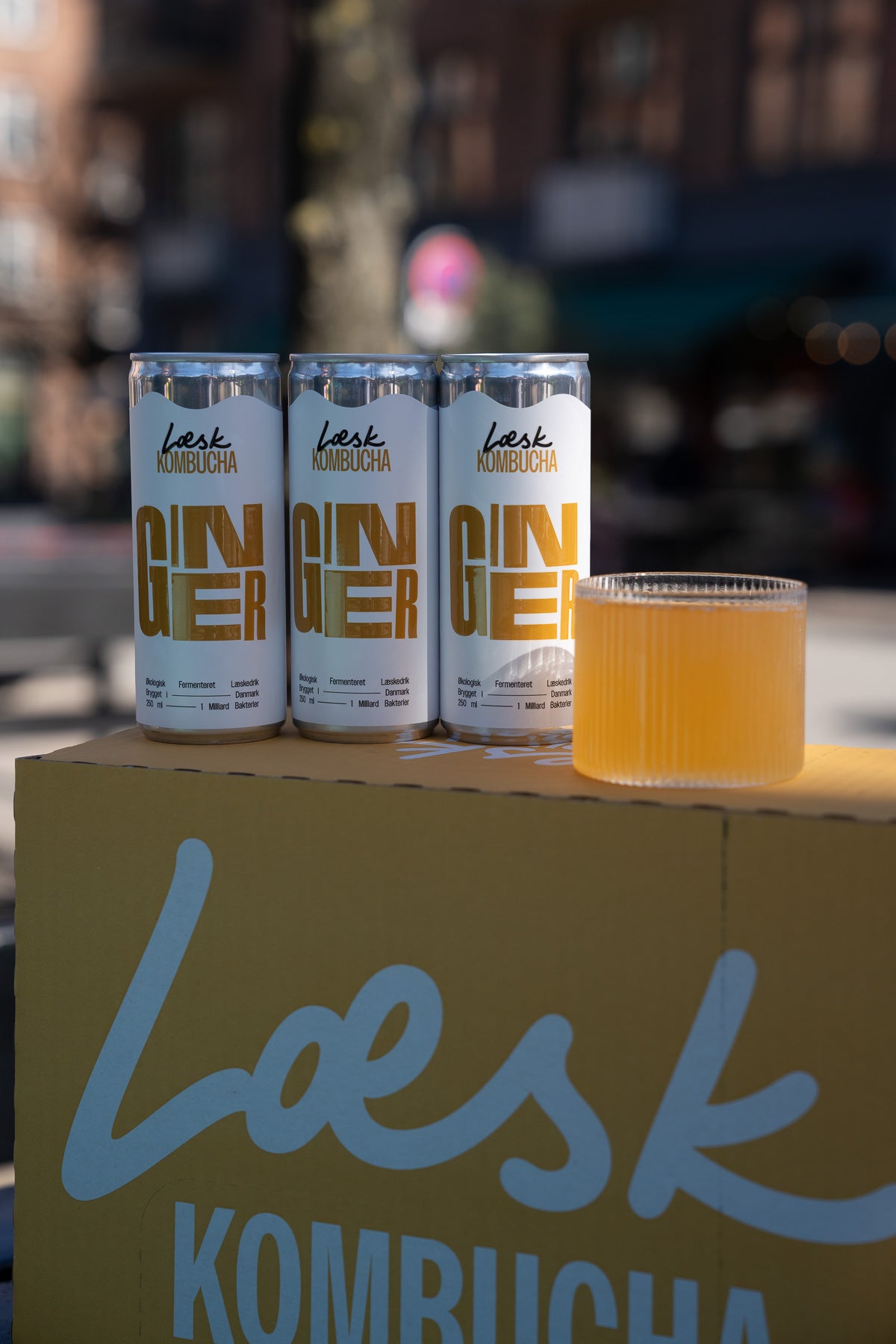 Ginger Kombucha