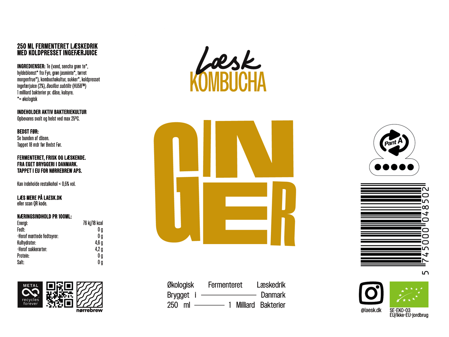 Ginger Kombucha