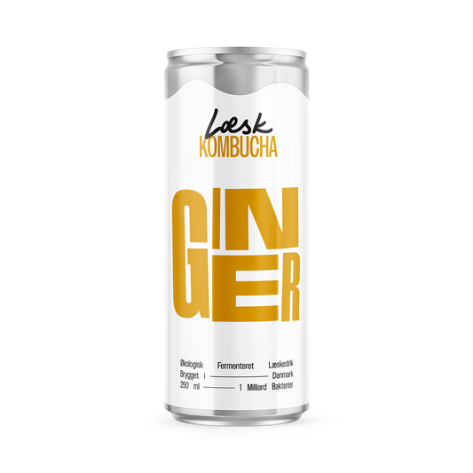 Ginger Kombucha