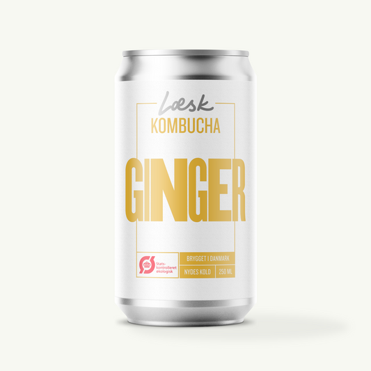 Ginger - 24 cans